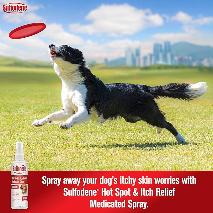 Sulfodene Medicated Hot Spot and Itch Relief, 8 oz - FACC - 3