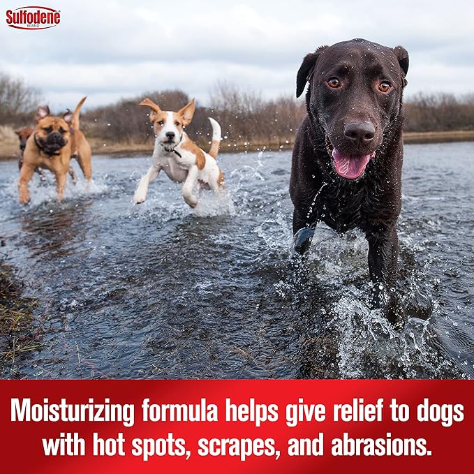 Sulfodene Medicated Hot Spot and Itch Relief, 8 oz - FACC - 5