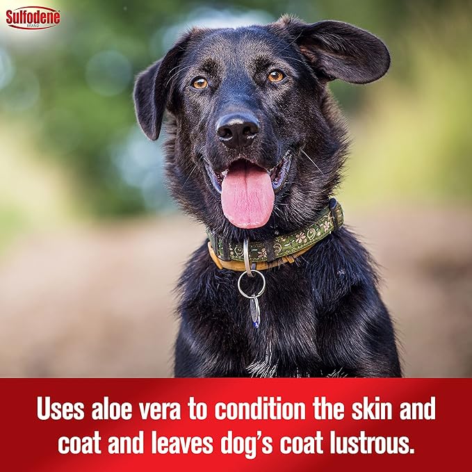 Sulfodene Medicated Shampoo & Conditioner for Dogs - FA20 - 6