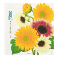 Sunflower Washi Letter Pad