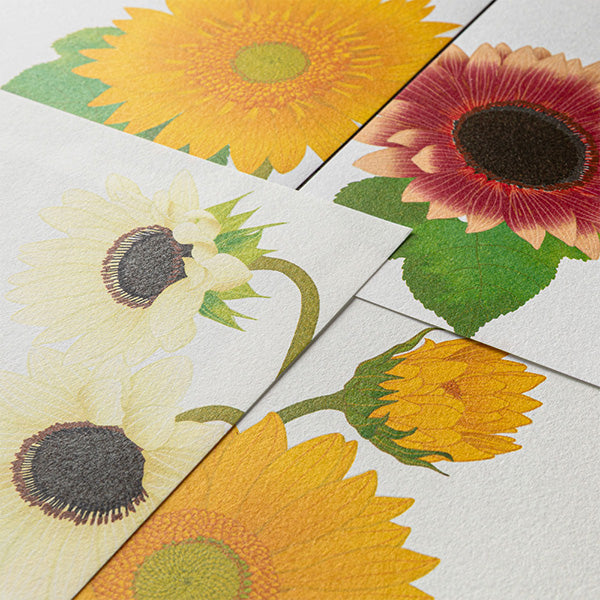 Sunflower Washi Letter Pad