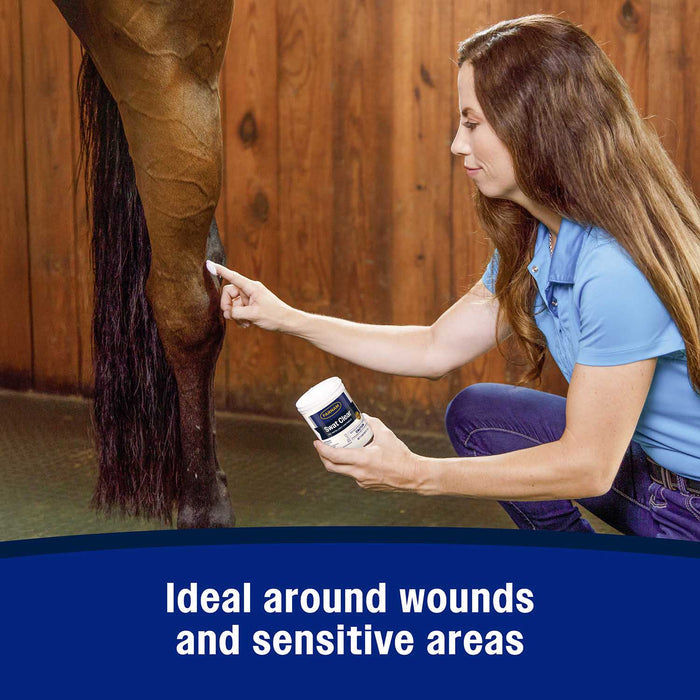 Swat Clear & Pink Fly Repellent Ointment for Horses, Ponies, & Dogs - FA1Q - Clear - 7 oz - 5