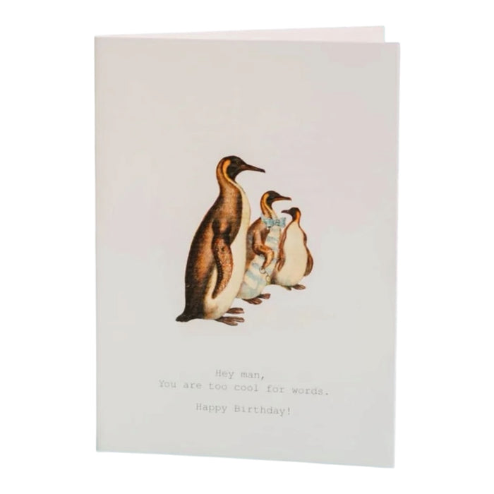 Too Cool | Card