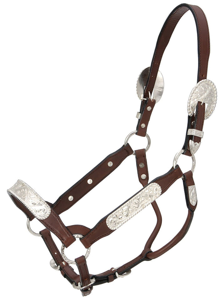 Tough1 Berry Edge Silver Congress Horse Show Halter - JTIAAB - Horse - 1