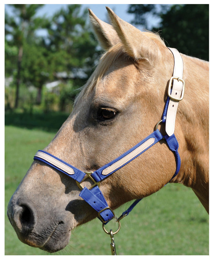 Tough1 Leather Overlay Breakaway Horse Nylon Halter - JTIAS - Purple - 1