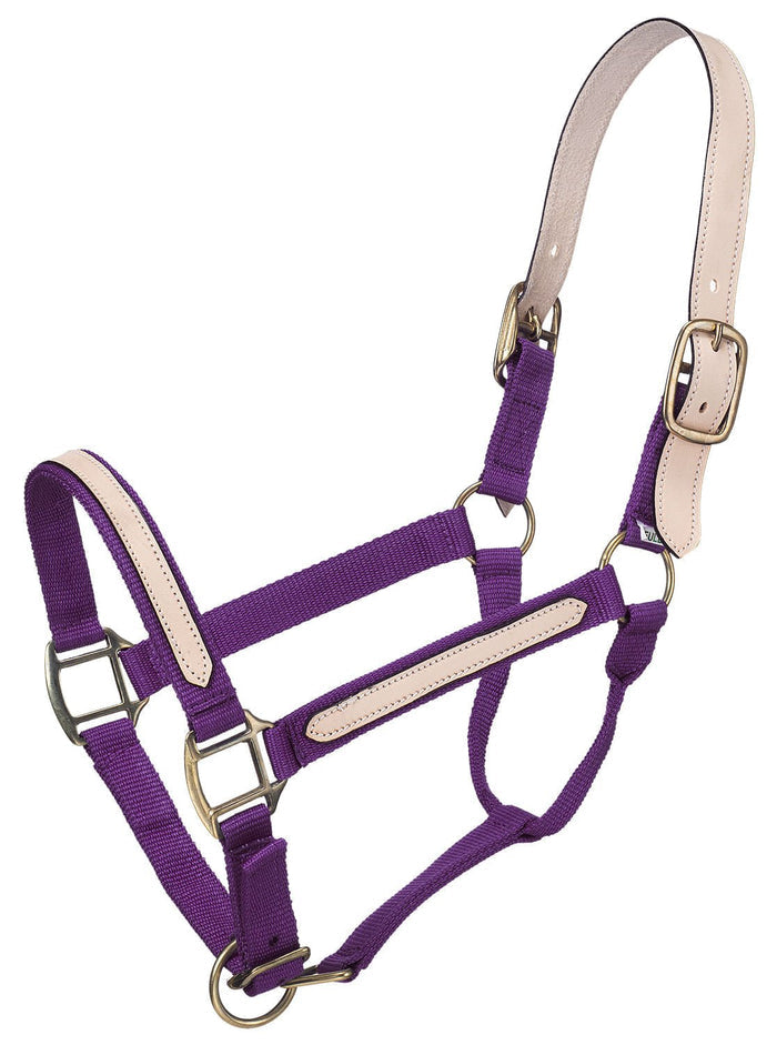 Tough1 Leather Overlay Breakaway Horse Nylon Halter - JTIAS - Purple - 2