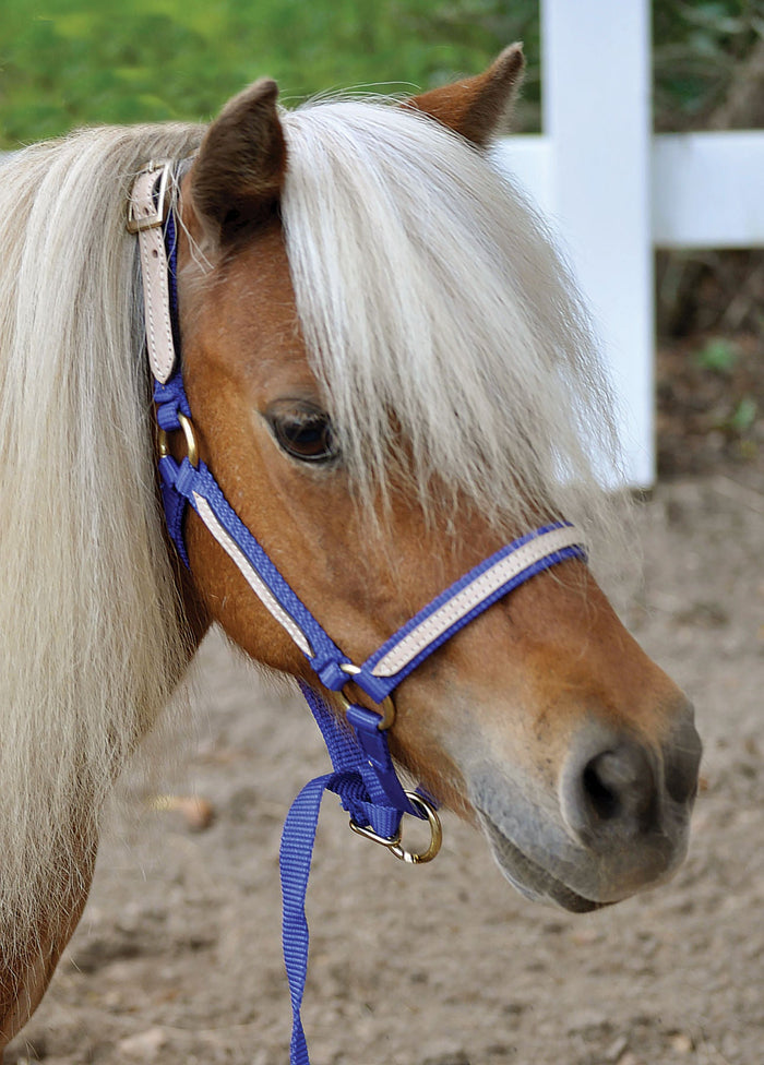 Tough1 Miniature Nylon Breakaway Halter, Large - JTIFE - Red - 7