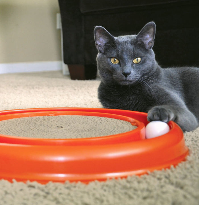 Turbo Cat Scratcher & Replacement Pads - 36AM - Turbo Cat Scratcher - 2