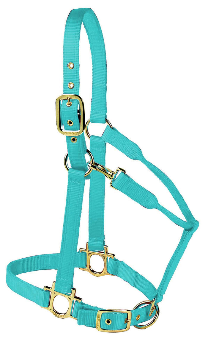 Valhoma Premium Adjustable Nylon Horse Halter - V2CY - Turquoise - Small - 1