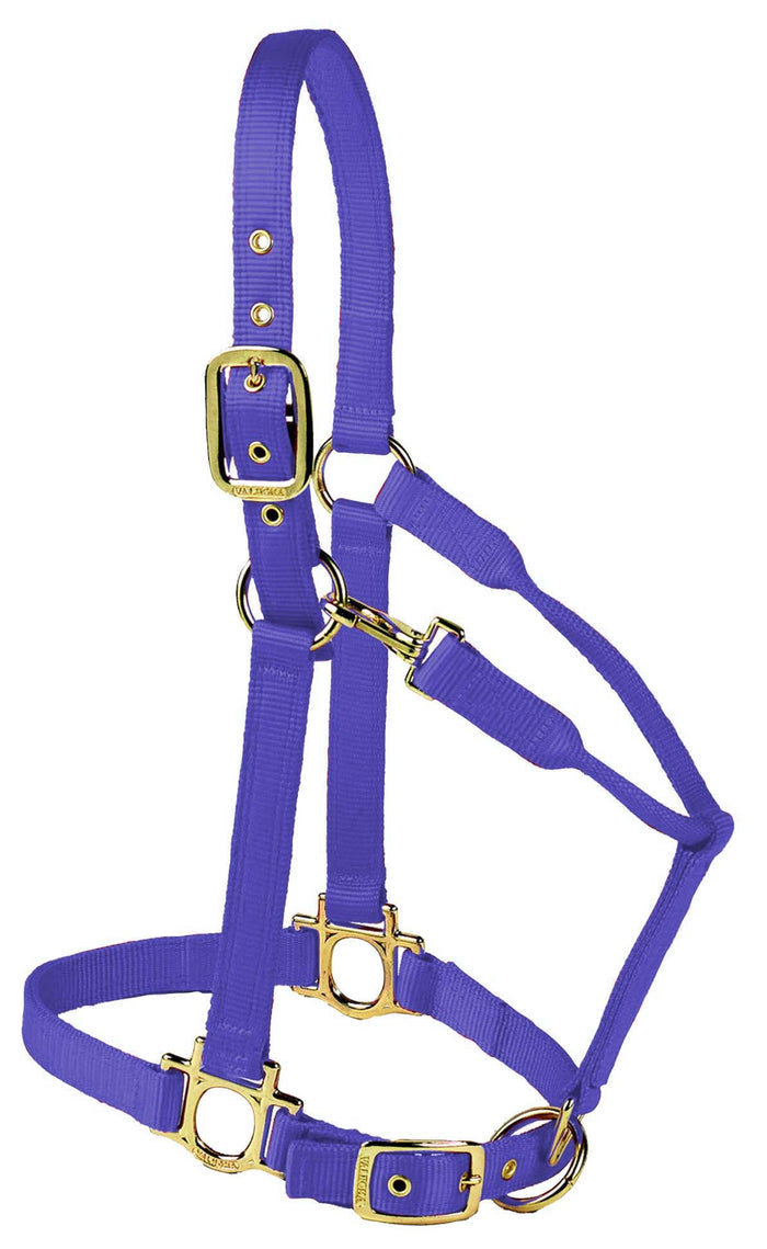 Valhoma Premium Adjustable Nylon Horse Halter - V2D4 - Green - Medium - 5