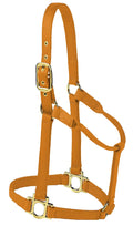 Valhoma Premium Nylon Halter - V2CB - Copper - Large - 1