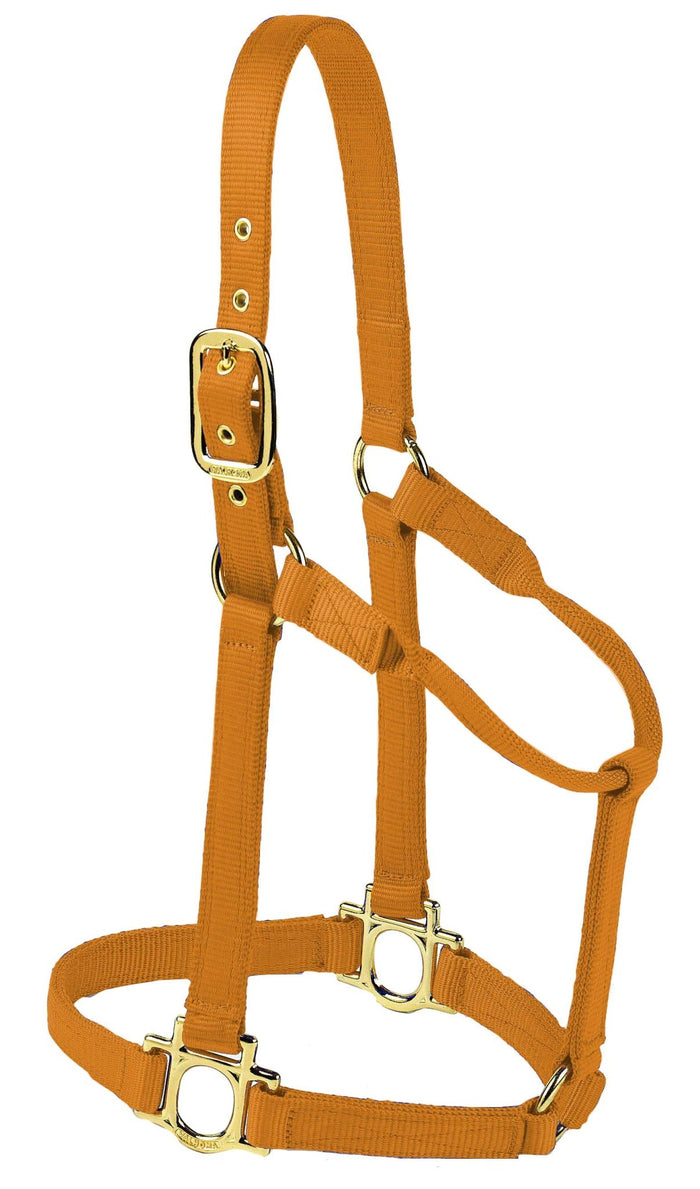 Valhoma Premium Nylon Halter - V2CB - Copper - Large - 1
