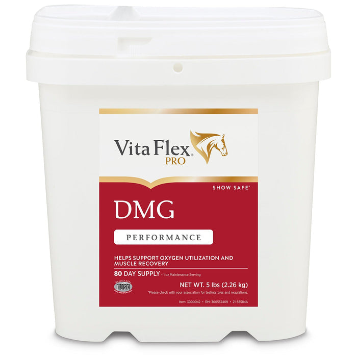 Vita Flex DMG 1500 Horse Supplement, 80 Day Supply - FA5T - 5lbs - 1