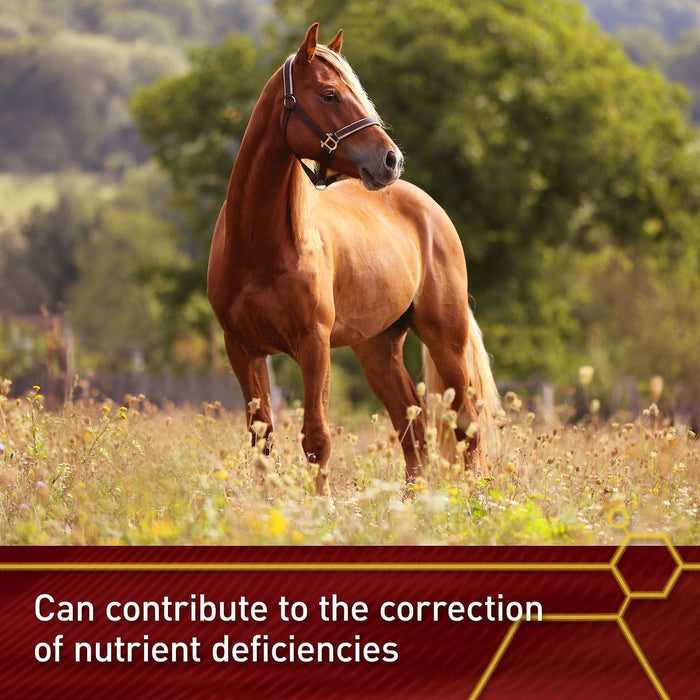 Vita Flex E and Selenium Supplement for Horses, Balanced Essential Antioxidants - FA5X - 4lbs - 4