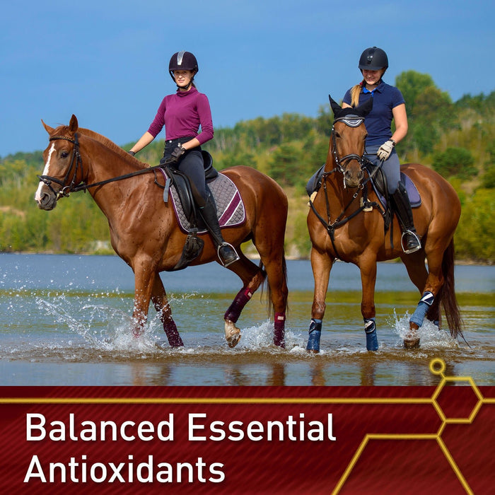 Vita Flex E and Selenium Supplement for Horses, Balanced Essential Antioxidants - FA5X - 4lbs - 5