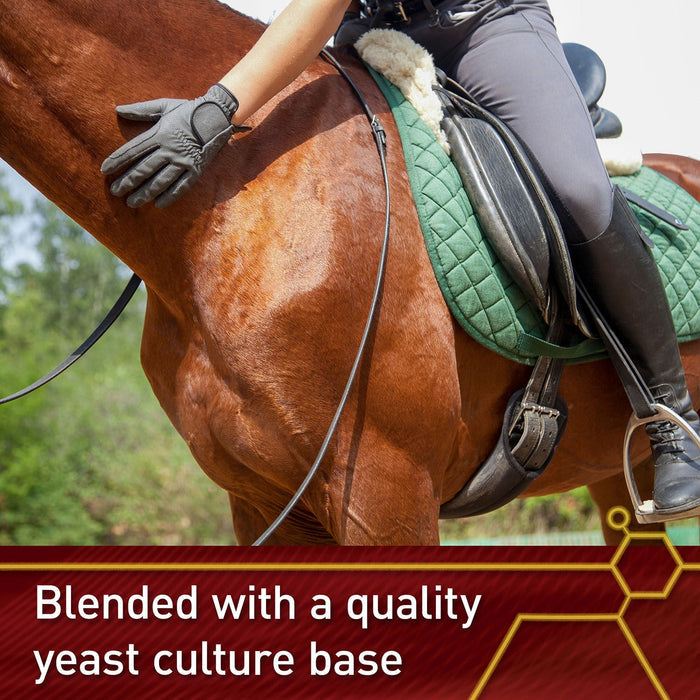 Vita Flex E and Selenium Supplement for Horses, Balanced Essential Antioxidants - FA5X - 4lbs - 6