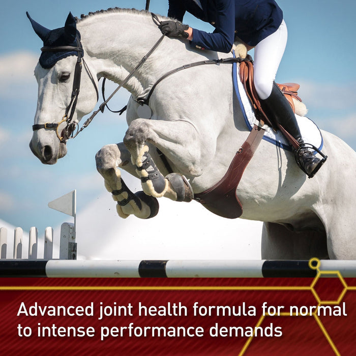 Vita Flex Equinyl Combo Joint Formula Horse Joint Supplement, 60 Day Supply - FA6J - 3.75lbs - 4