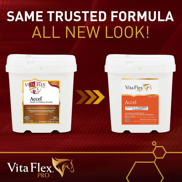 Vita Flex Pro Accel Health & Wellness Formula, Supplement for Horses - FA5L - 5lbs - 4