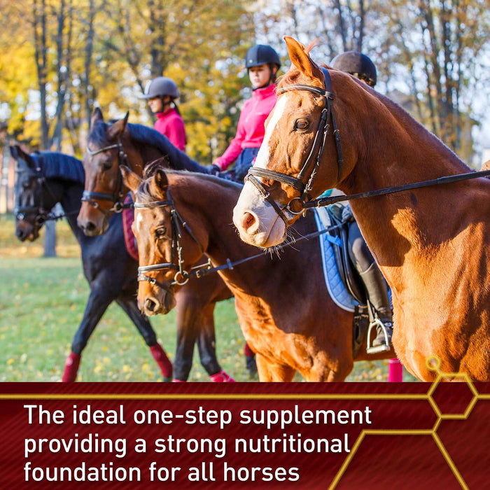 Vita Flex Pro Accel Health & Wellness Formula, Supplement for Horses - FA5L - 5lbs - 5