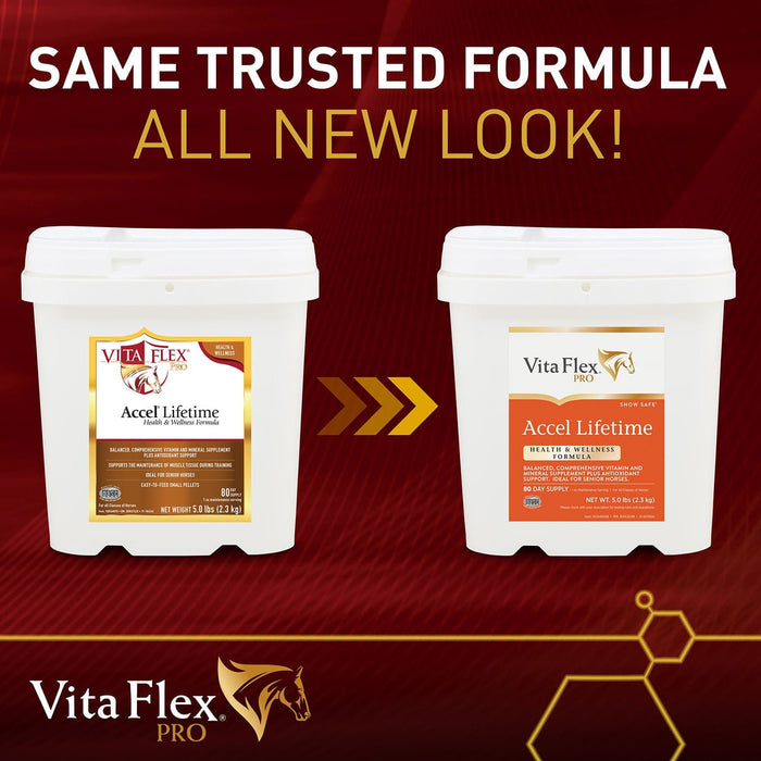 Vita Flex Pro Accel Lifetime Health & Wellness Formula Supplement for Horses - FA5Q - 5lbs - 3
