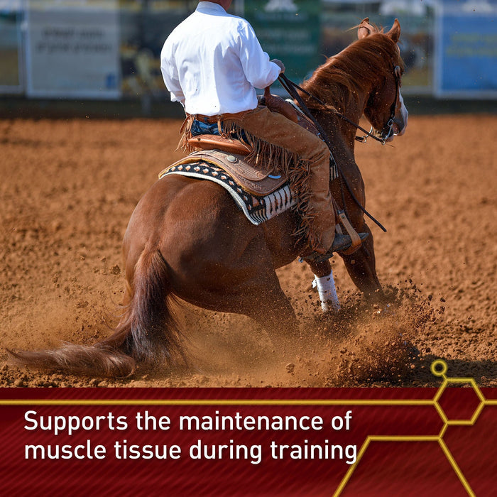 Vita Flex Pro Accel Lifetime Health & Wellness Formula Supplement for Horses - FA5Q - 5lbs - 4