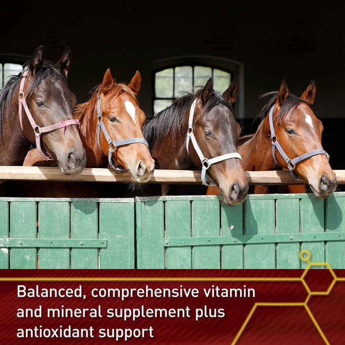 Vita Flex Pro Accel Lifetime Health & Wellness Formula Supplement for Horses - FA5Q - 5lbs - 5