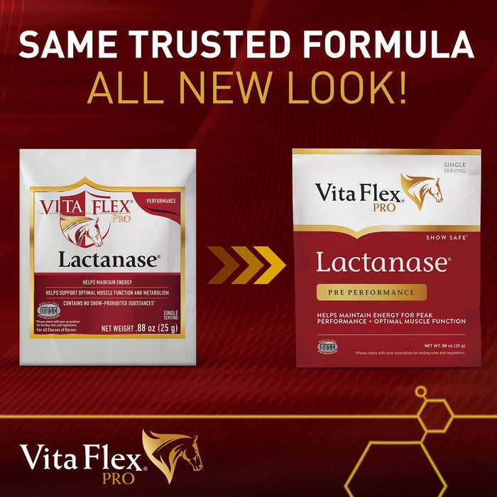 Vita Flex Pro Lactanase Pre - Performance Horse Supplement, Single Serve Packet - V6L1 - 3