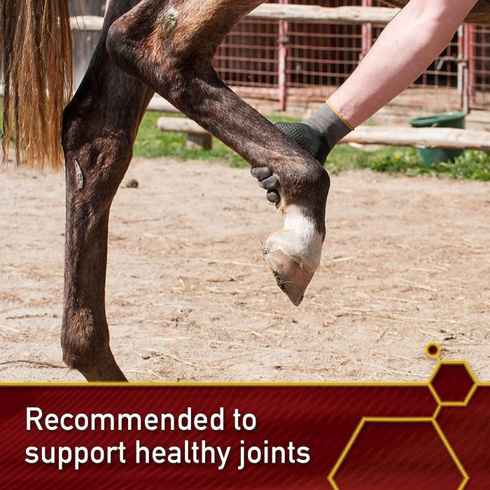 Vita Flex Pro MSM Quality Joint Supplement for Horses, Dogs and Cats - FA64 - 10lbs - 4