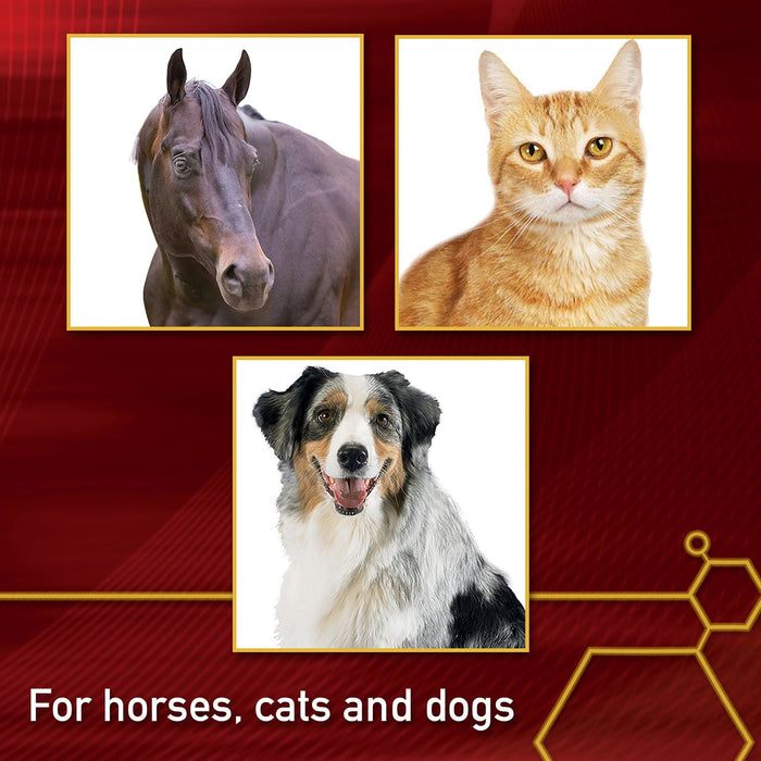 Vita Flex Pro MSM Quality Joint Supplement for Horses, Dogs and Cats - FA65 - 4lbs - 7