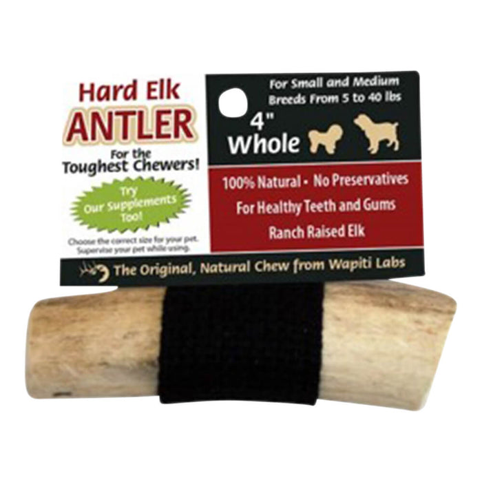 Wapiti Labs Elk Antler Dog Chews, 4", Whole - 031WL-19556 - Natural - 4" - 1