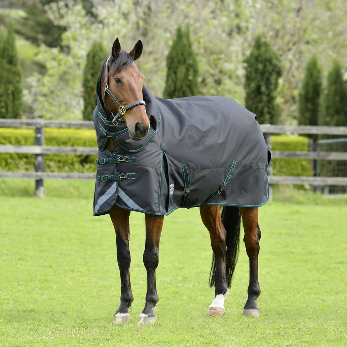 WeatherBeeta ComFITec Plus Dynamic II Detach - a - Neck Turnout Blanket, Medium, 1200D, 220 Gram - 0V6BM - 69" - Grey with Dark Green/White Trim - 1