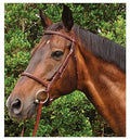 Weatherbeeta Kincade Plain Raised Bridle, Full - 0VJAV - Brown - 1