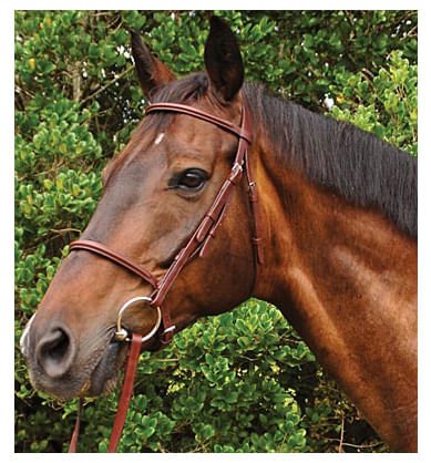 Weatherbeeta Kincade Plain Raised Bridle, Full - 0VJAV - Brown - 6