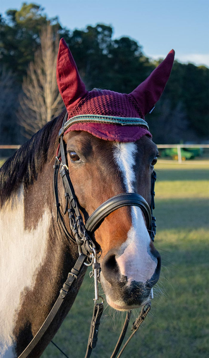 Weatherbeeta Prime Ear Bonnet for Horses - 0V4KP - Black - 1