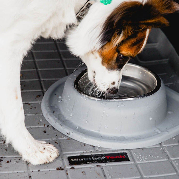 WeatherTech Single Low Pet Feeding System, Stainless Steel - WTD5C - Dark Grey - 8 oz - 3