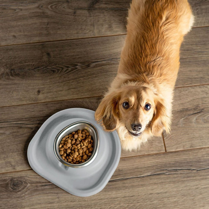 WeatherTech Single Low Pet Feeding System, Stainless Steel - WTD5C - Dark Grey - 8 oz - 4