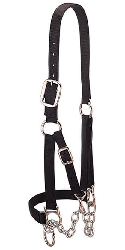 Weaver Heavy Duty Cow Restraint Halter, Black - WEANB - Small - 1