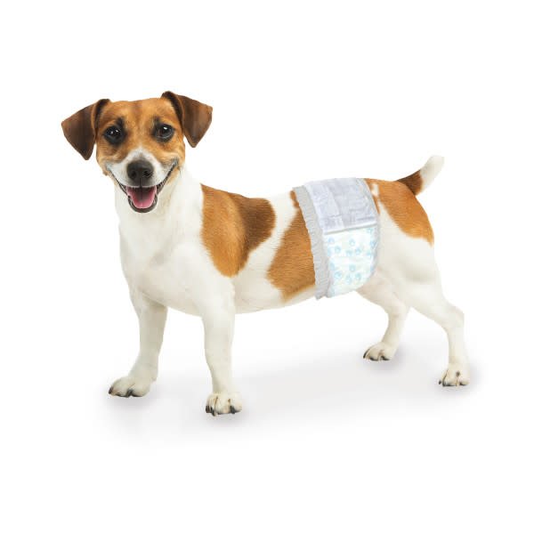 Wee - Wee Disposable Male Dog Wraps - 39YQ - XSmall / Small - 12 - 8