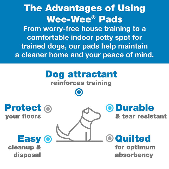 Wee - Wee Silicone Dog Housebreaking Pad Holder, 22" x 23" - 39Y9 - 22" x 23" - 7