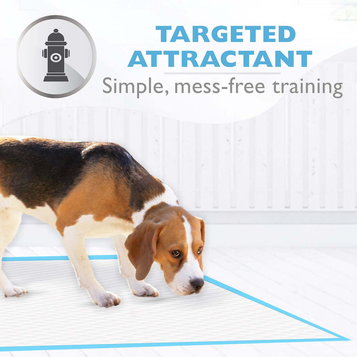 Wee - Wee Silicone Dog Housebreaking Pad Holder, 22" x 23" - 39Y9 - 22" x 23" - 8