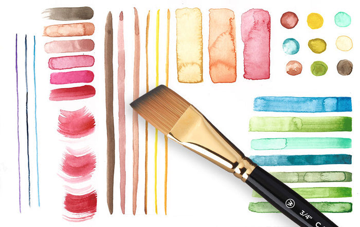 “What Does That Brush Do?” with Willow Wolfe