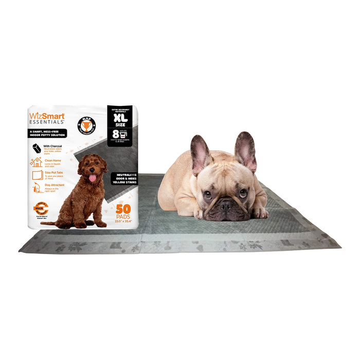 WizSmart Essentials Pads with Charcoal, XL, 50 ct - 024PC-0510 - XLarge - 2