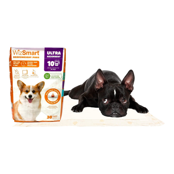 WizSmart Heavyweight Ultra Absorbent Pads for Dogs - 024PC-2240 - 24 ct - XL - 23.5" x 31.5" - 3