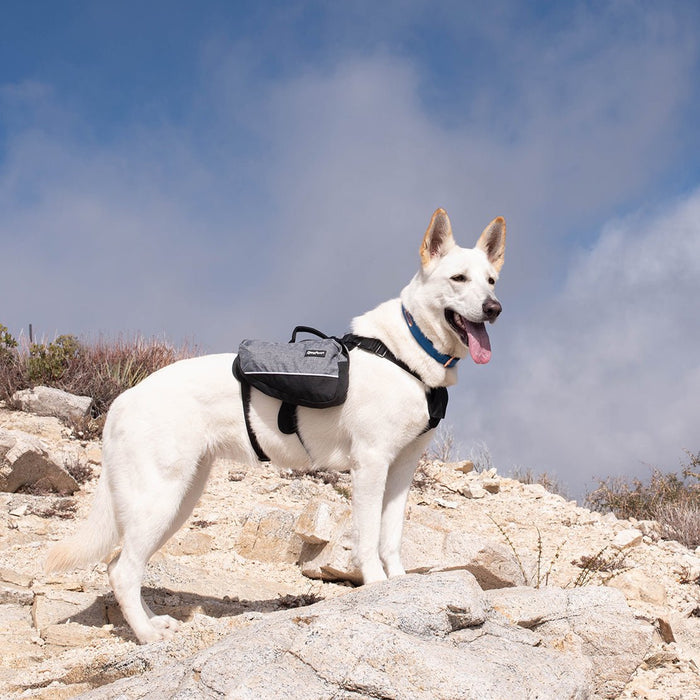 Zippy Paws Lightweight Adventure Backpack, Graphite - ZPP13 - Large - 3