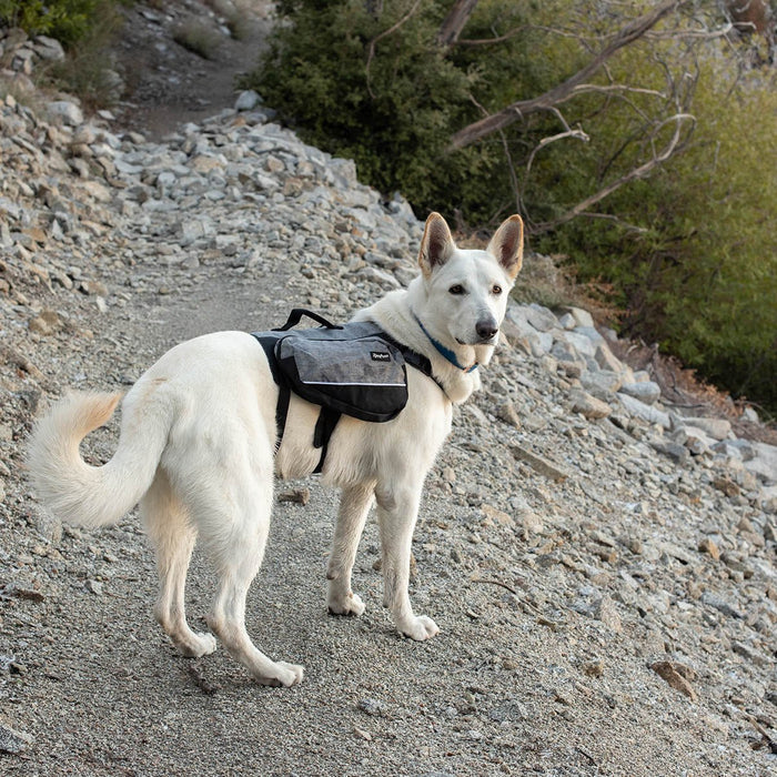 Zippy Paws Lightweight Adventure Backpack, Graphite - ZPP13 - Large - 4